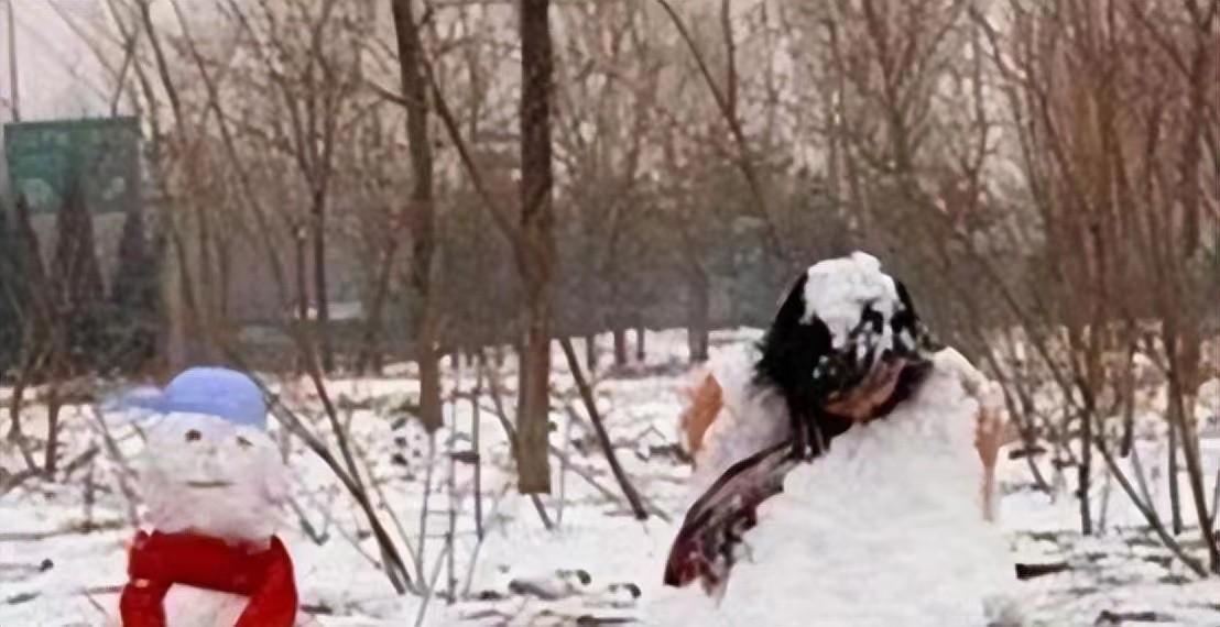 2008年东北肢体雪人案：四具女性尸体被拼接成雪人，惨案至今未破