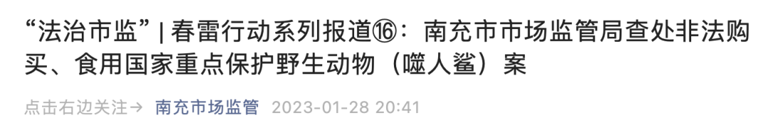 网红烹食大白鲨后续：罚款12.5万元！另有两人已被逮捕→