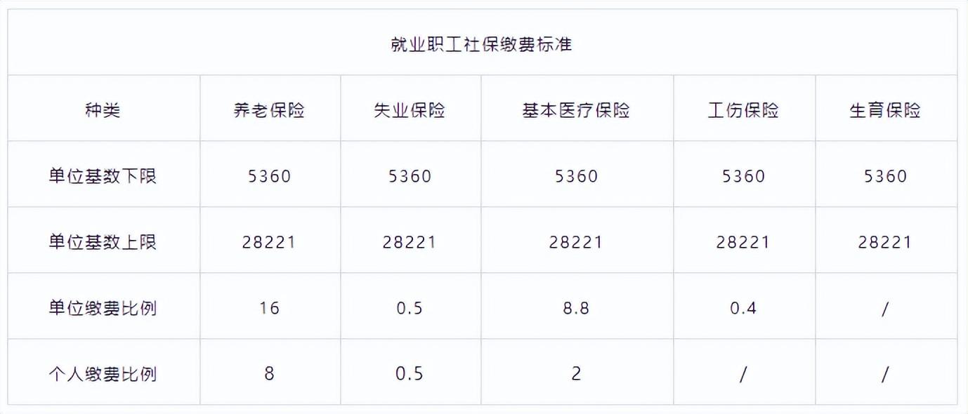 自己交社保交哪个划算？职工社保、灵活就业、城乡居民社保？