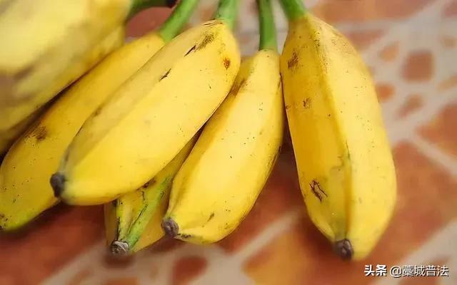 【普法】5岁女孩吃香蕉噎死，父母状告赠蕉者索赔73万！法官是这样判！