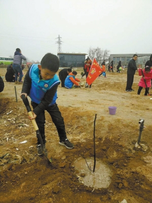 【幸福石家庄】小学生植树挂许愿牌 大学生到革命老区植绿