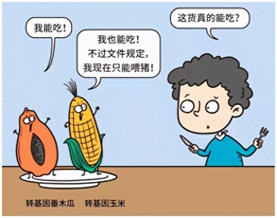 漫画｜转基因食品的安全性，一定要经过长期多代人的验证吗？