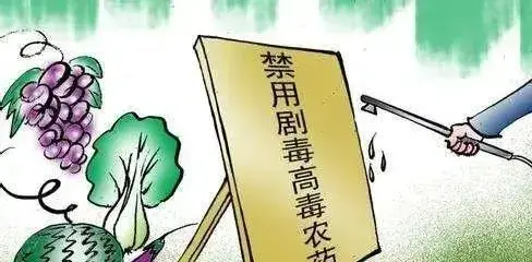 2020年再卖这些药，罚款，拘留！自己用也不行